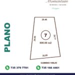 Terreno rústico con árboles frutales
